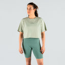 color_fern