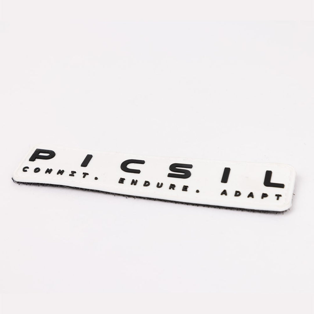modelo_PICSIL